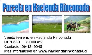 Daniel Toutin Anuncios de Propiedades en Los Andes |  TERRENO HACIENDA RINCONADA, PARCELA DE AGRADO LOS ANDES.