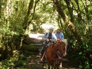  Anuncios de Propiedades en Puerto Montt |  CAMPO CORDILLERANO , alejado de todas las contaminaciones ,rodeado de bosques y rios  mucha tran