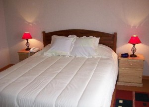 ALEXIS Anuncios de Propiedades en Santiago |  DEPTO AMOBLADO  LADO METRO CAL Y CANTO, SE ARRIENDA NO INCLUYE GASTOS COMUNES, PARA DOS PERSONAS, 