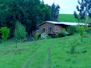 Maud Gittermann Anuncios de Propiedades en Temuco |  ARRIENDO CASA EN TEMUCO, Aire puro,naturaleza,mejor calidad de vida.