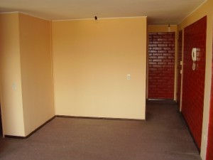 ingrid Anuncios de Propiedades en Santiago |  Vendo departamento frente al parque Ohiggins, En Condominio Rondizzoni