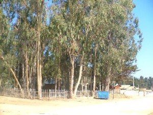 negociosisla Anuncios de Propiedades en Isla Negra |  Venta Sitios Islanegra - Isla negra, venta terrenos islanegra