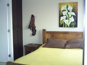  Anuncios de Propiedades en Santiago |  ARRIENDO DEPARTAMENTOS AMOBLADOS.(dia/s,semanas). STGO. CENTRO, VER FOTOS EN P&Aacute;GINA WEB