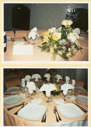 EVENTOS SIGLO XXI Anuncios de Propiedades en Maip&uacute; |  banqueter&igrave;a, c&ograve;ctel-men&ugrave; diferentes valores a&ntilde;o 2008, PRODUCCI�N / ASESORIA  EVENTOS SIGLO XXI, A&Ntilde;O 2008