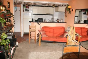  Anuncios de Propiedades en Santiago |  Arriendo departamento amoblado (dias,semanas) stgo centro, lira-curico