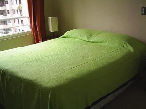 deptovictoria Anuncios de Propiedades en Santiago |  ARRIENDO DEPARTAMENTOS AMOBLADOS (dias,semanas). STGO. CENTRO, Santa Victoria con Portugal�METRO UNIV. CATOLICA