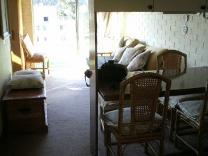  Anuncios de Propiedades en Re&ntilde;aca |  ARRIENDO DEPARTAMENTOS Y CABA&Ntilde;AS AMOBLADOS(dias,semanas) re&ntilde;aca, re&ntilde;aca