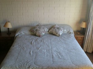  Anuncios de Propiedades en Re&ntilde;aca |  ARRIENDO DEPARTAMENTOS Y CABA&Ntilde;AS AMOBLADOS(dias,semanas) stgo centro, re&ntilde;aca