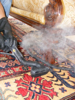 Martin Cartes Anuncios de Propiedades en Providencia |  LimPieza IntegrAl AromatiZado, Aspirado - Sanitizado