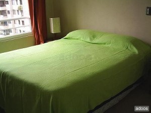 deptovictoria Anuncios de Propiedades en Santiago |  ARRIENDO DEPARTAMENTOS AMOBLADOS(dias,semanas). STGO. CENTRO, Santa Victoria con Portugal�METRO UNIV. CATOLICA