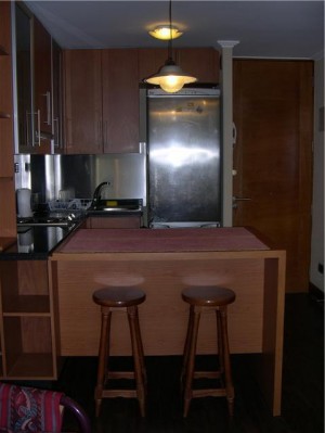 JESSICA Anuncios de Propiedades en Santiago |  DEPARTAMENTO FULL AMOBLADO,  en metro pedro de valdivia