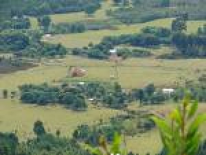 sandra salinas Anuncios de Propiedades en Valdivia |  vendo campo, en quitaqui