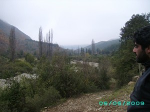 JUAN MARIN  Anuncios de Propiedades en Antofagasta |  Vendo 11 Hectareas Campo Cordillerano, LINDOS BOSQUES  LINARES, POR APURO VENDO CAMPO HERMOSO, BOSQUES NATIVOS EN lINARES