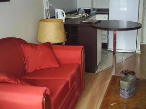  Anuncios de Propiedades en Santiago |  Departamentos amoblados Santiago Centro , Arriendo( D&iacute;as, semanas).- , VER FOTOS EN P&Aacute;GINA WEB. ( EDIFICIO NUEVO).
