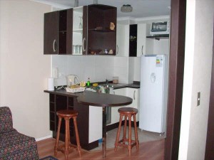 Rosa Riquelme M. Anuncios de Propiedades en Santiago |  ARRIENDO DEPARTAMENTOS AMOBLADOS.(dia/s,semanas)SANTIAGO CENTRO, METRO UNIVERSIDAD CATOLICA