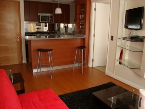MG Apartments Anuncios de Propiedades en Providencia |  Arriendo departamentos amoblados Providencia Santiago de Chile, D&iacute;as/semanas/meses Ideal para turistas y viajes de negocio