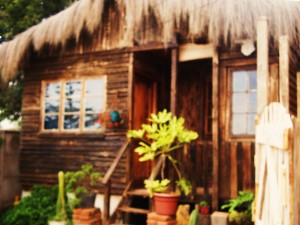 CABA&Ntilde;A DEL ARBOL Anuncios de Propiedades en Conc&oacute;n |  CONCON ,ARRIENDO CABA&Ntilde;A VACACIONES $25.000, CABA&Ntilde;A R&Uacute;STICA RESERVAS: CABANADELARBOL@GMAIL.COM