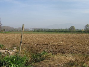 Ovando y Cabrera Servicios Ltda. Anuncios de Propiedades en Melipilla |  2 Hect&aacute;reas Chorombo Bajo � Mar&iacute;a Pinto, Excelentes Hect&aacute;reas Agr&iacute;colas