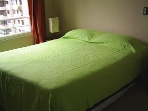  Anuncios de Propiedades en Santiago |  Arriendo Departamentos Amoblados.(D&iacute;as,semanas) Stgo centro, Ubicaci&oacute;n: Mar&iacute;n con Portugal