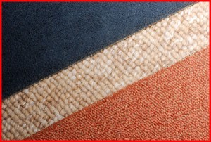 ISABEL TRONCOSO Anuncios de Propiedades en Santiago |  Limpieza ALFOMBRAS muro a muro - $ 500 M2 (a partir de 20 m.), Consulte por LIMPIEZA DE ALFOMBRAS SUELTAS (en domicilio )