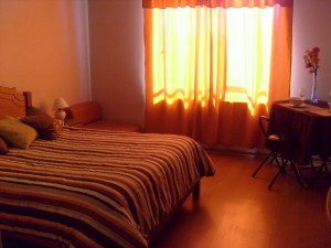  Anuncios de Propiedades en Santiago |  Departamento amoblado se arrienda por d&iacute;as, semanas, Sector Bellas Artes