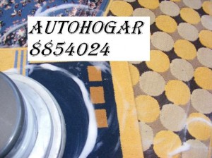 Martin Cartes Anuncios de Propiedades en Santiago |  LimPieZa De AlfombRAs Y Tapices 8854024, Aseos Integrales