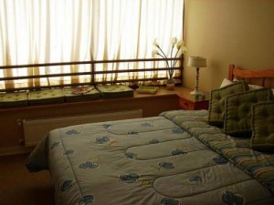  Anuncios de Propiedades en Vi&ntilde;a del Mar |  DEPARTAMENTO AMOBLADO EN VI&Ntilde;A TEMPORADA VERANO, CERCANO A PLAYA, CASINO, BOHEMIA VI&Ntilde;AMARINA