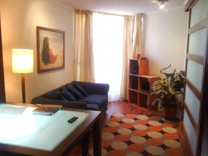 Alexander Castillo R Anuncios de Propiedades en Santiago |  Departamento amoblado en Santiago de Chile, barrio Bellas Artes, Equipamiento completo