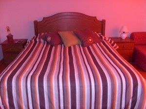  Anuncios de Propiedades en Santiago |  Arriendo de departamento amoblado en Santiago (d&iacute;as, semanas), Sector Bellas Artes