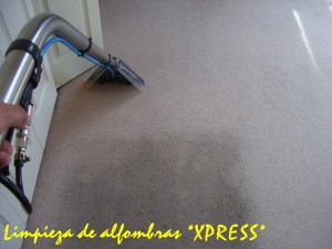 *XPRESS* LIMPIEZA DE ALFOMBRAS Anuncios de Propiedades en Vi&ntilde;a del Mar |  LAVADO DE ALFOMBRAS,LAVADO DE TAPICES., CASAS,DPTOS,OFICINAS.