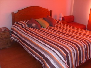  Anuncios de Propiedades en Santiago |  Arriendo de departamento amoblado en santiago (d&iacute;as, semanas), Sector Bellas Artes