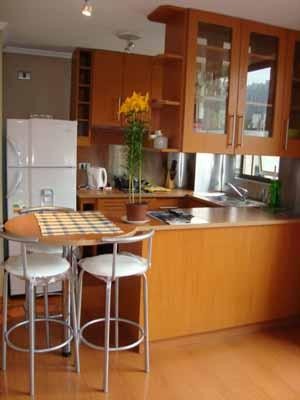 HOMECHILE Anuncios de Propiedades en Las Condes |  DEPARTAMENTO AMOBLADO EN ARRIENDO, LAS CONDES, PROVIDENCIA, SANTIAGO, FURNISHED APARTMENT FOR RENT