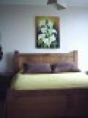  Anuncios de Propiedades en Santiago |  ARRIENDO DEPARTAMENTOS AMOBLADOS.(dia/s, semanas) Stgo. centro, 2 ambientes, VER FOTOS EN P&Aacute;GINA WEB. Metro universidad cat&oacute;lica