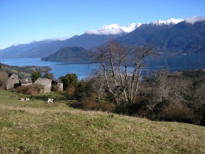 HECTOR PLAZA Anuncios de Propiedades en Puerto Montt |  A 90 KMS DE PTO.VARAS SECTOR RALUN 150 HAS PARA CAMPO AVENTURA, MUCHO BOSQUE NATIVO, UN RIO, HERMOSA VISTA SENO RELONCAVI