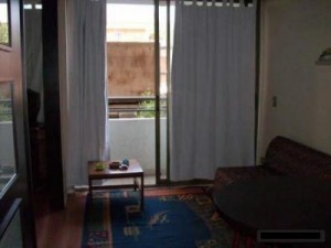 Rosa Riquelme Anuncios de Propiedades en Santiago |  ARRIENDO DEPARTAMENTOS AMOBLADOS, DEPARTAMENTOS AMOBLADOS DIAS SEMANAS METRO UNIVERSIDAD CATOLICA