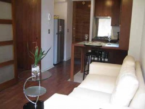 HomeChile Anuncios de Propiedades en Santiago |  Departamento Amoblado en Arriendo, Providencia, Santiago, Las Condes