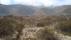Ricardo Anuncios de Propiedades en La Serena |  Arriendo Terreno La Serena para antenas de celulares, $ 1.000.000.- mes