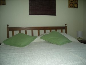  Anuncios de Propiedades en Providencia |  DEPARTAMENTOS AMOBLADOS  ARRIENDO Impecable (dia/s,semanas) Stgo centro , 2, EDIFICIO SIN DA&Ntilde;OS  Metro Baquedano, Limite providencia, Stgo centro