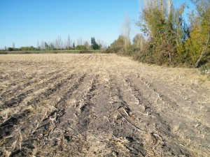 CHRISTIAN BENAVIDES Anuncios de Propiedades en Los Angeles |  VENDO PARCELAS, BUENA UBICACION. COMUNA DE LOS ANGELES, CAMINO HACIA EL SECTOR   EL PERAL