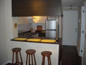 Ivan Anuncios de Propiedades en Santiago |  Departamento nuevo  amoblado y equipado , Santiago Centro c&iacute;vico