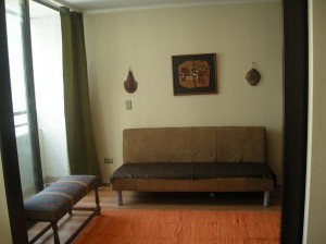  Anuncios de Propiedades en Santiago |  ARRIENDO DEPARTAMENTOS AMOBLADOS EN STGO CENTRO .(dia/s,semanas), 2 ambient, Metro universidad catolica