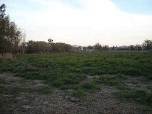Ovando y Cabrera Servicios Ltda Anuncios de Propiedades en Melipilla |  MELIPILLA, Rumay Alto 5,5 Hect&aacute;reas de terreno agricola, 5,5 Hect&aacute;reas Agr&iacute;cola Melipilla