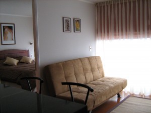 Liliana Anuncios de Propiedades en Las Condes |  Departamentos , Amoblados