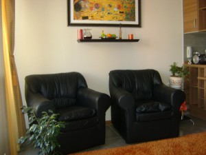  Anuncios de Propiedades en Santiago |  Arriendo Departamentos NUEVOS  Amoblados, por dias, desde $ 22.000, METRO SANTA LUCIA