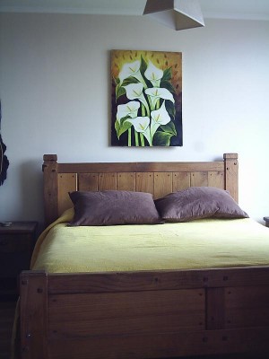  Anuncios de Propiedades en Santiago |  ARRIENDO DEPARTAMENTOS AMOBLADOS.(d&iacute;a/s,semanas) Stgo centro 2 ambientes , VER FOTOS PAG WEB,METRO UNIV.CATOLICA