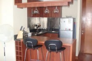 Claudio Pezoa H Anuncios de Propiedades en Providencia |  arriendo departamento amoblado, Providencia- Manuel Montt