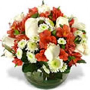 Floreria Rosalinda Anuncios de Propiedades en Santiago |  Floreria Rosalinda: Despachos a Domicilio, www.rosalinda.cl