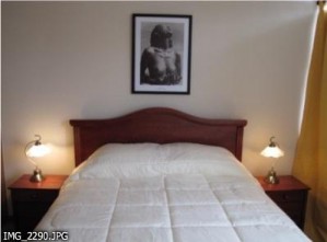  Anuncios de Propiedades en Santiago |  Departamentos  Arriendo   de lujo  amoblados DIAS, SEMANAS en santiago cent, METRO SANTA LUCIA