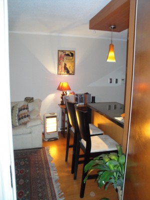 Andrea Torrealba Anuncios de Propiedades en Las Condes |  Depto arriendo 1 Dor / Los militares (pasos de metro) Las condes., 1 dor, 1 ba&ntilde;o. Impecable, linda vista, Disponible en Sept. 2010