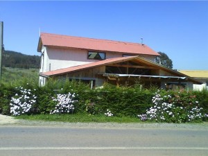 Alba Vergara Anuncios de Propiedades en Algarrobo |  Arriendo Caba&ntilde;a con piscina, 1 km de la playa, Mirasol, lo mejor de algarrobo...